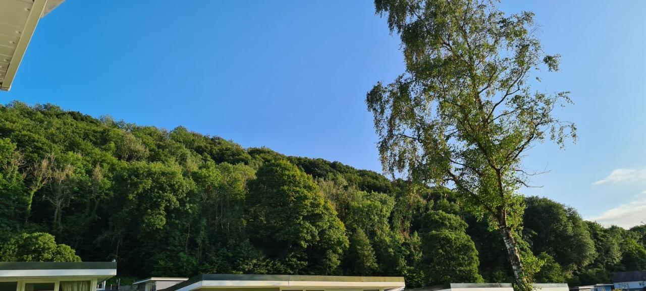 شقة Forget-Me-Not 114 Woodlands Park New Quay نيو كي المظهر الخارجي الصورة