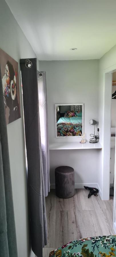شقة Forget-Me-Not 114 Woodlands Park New Quay نيو كي المظهر الخارجي الصورة