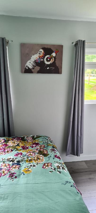شقة Forget-Me-Not 114 Woodlands Park New Quay نيو كي المظهر الخارجي الصورة